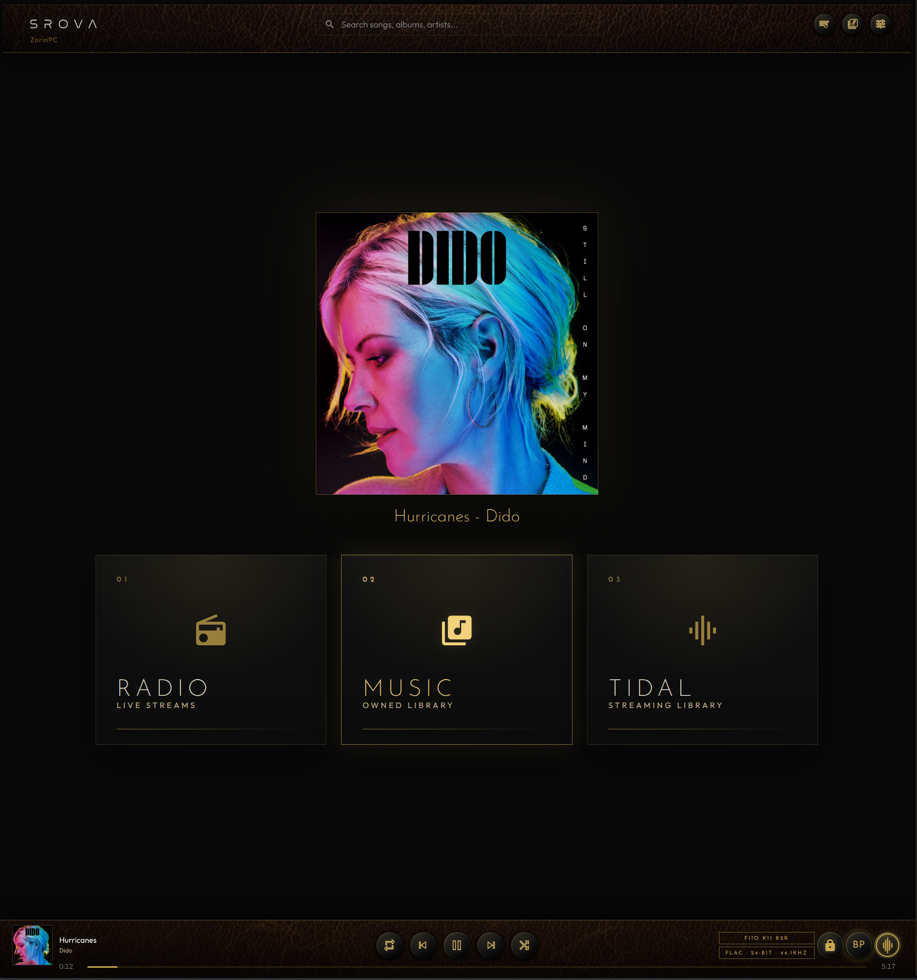 SROVA desktop browser homepage showing the music inputs and Now Playing controls