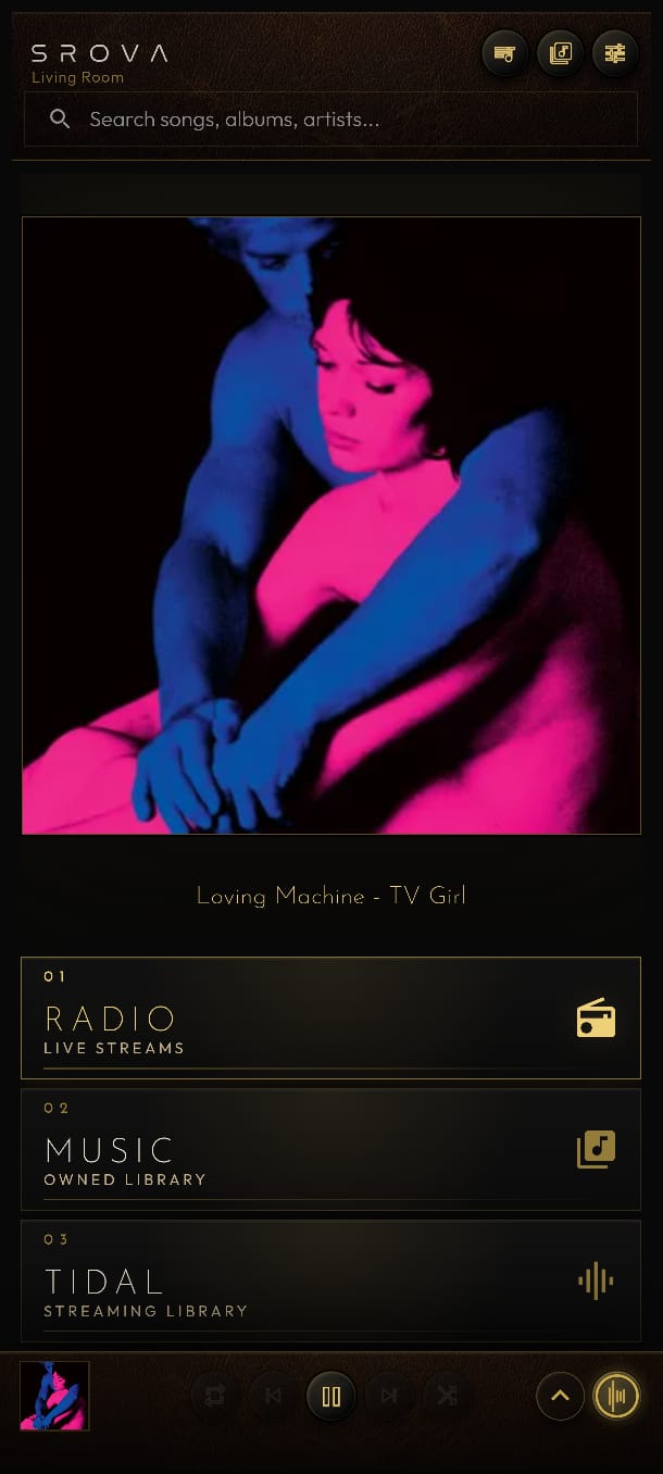 SROVA Remote home screen while music is playing